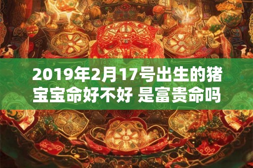 2019年2月17号出生的猪宝宝命好不好 是富贵命吗