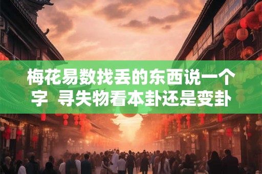 梅花易数找丢的东西说一个字  寻失物看本卦还是变卦