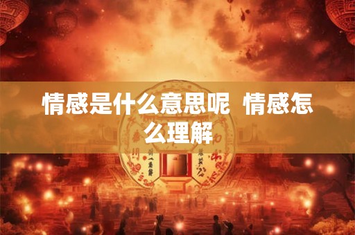 情感是什么意思呢  情感怎么理解
