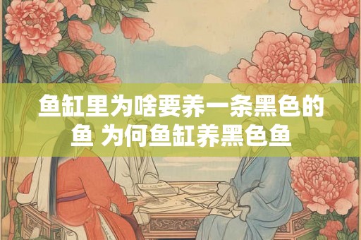 鱼缸里为啥要养一条黑色的鱼 为何鱼缸养黑色鱼