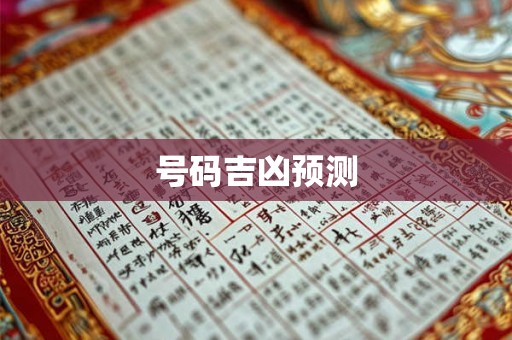 号码吉凶预测