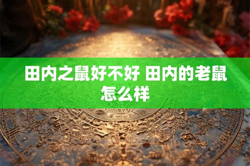 田内之鼠好不好 田内的老鼠怎么样