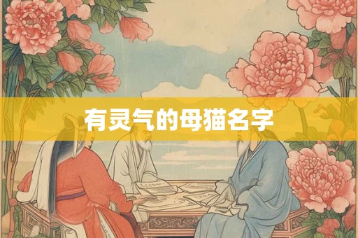 有灵气的母猫名字