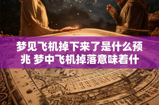 梦见飞机掉下来了是什么预兆 梦中飞机掉落意味着什么 梦见飞机掉下来了是什么预兆 梦中飞机掉落意味着什么