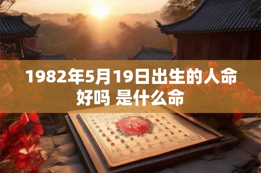 1982年5月19日出生的人命好吗 是什么命
