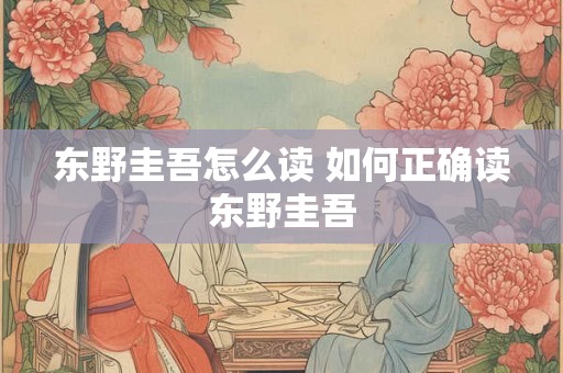 东野圭吾怎么读 如何正确读东野圭吾