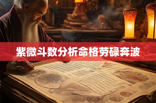 紫微斗数分析命格劳碌奔波 紫微斗数分析命格劳碌奔波