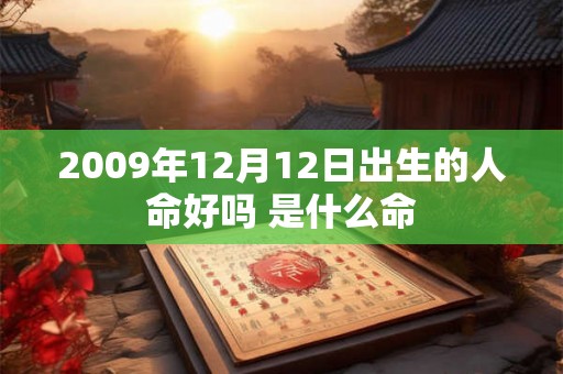 2009年12月12日出生的人命好吗 是什么命