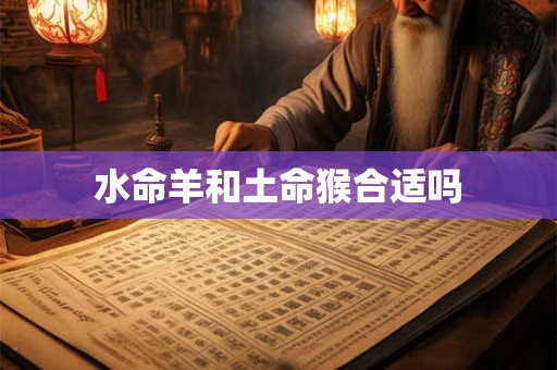 水命羊和土命猴合适吗