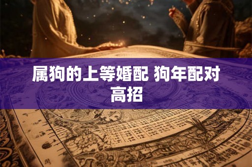 属狗的上等婚配 狗年配对高招 属狗的上等婚配 狗年配对高招