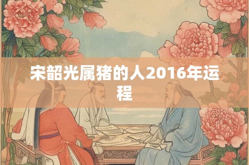 宋韶光属猪的人2016年运程