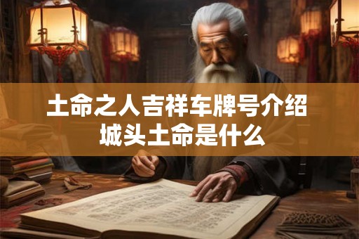 土命之人吉祥车牌号介绍  城头土命是什么