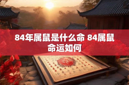 84年属鼠是什么命 84属鼠命运如何 84年属鼠是什么命 84属鼠命运如何