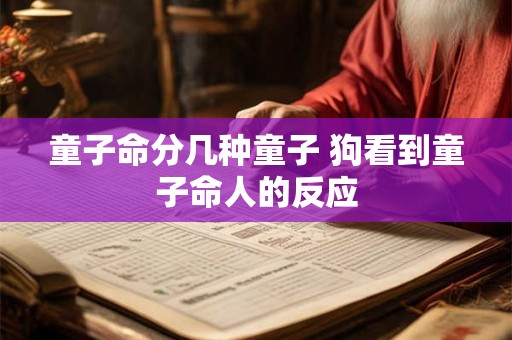 童子命分几种童子 狗看到童子命人的反应