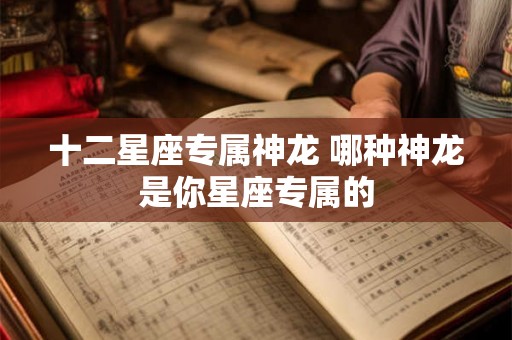 十二星座专属神龙 哪种神龙是你星座专属的