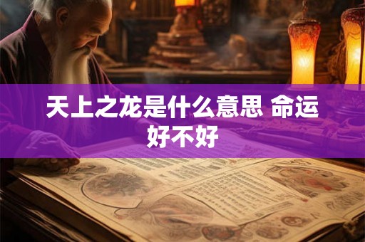 天上之龙是什么意思 命运好不好