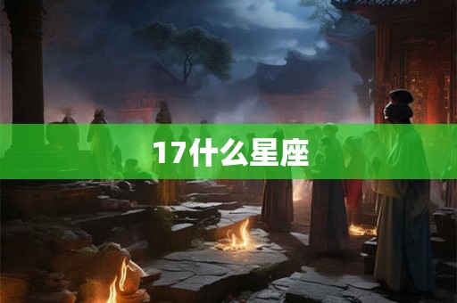 17什么星座