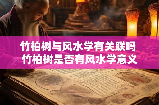 竹柏树与风水学有关联吗 竹柏树是否有风水学意义