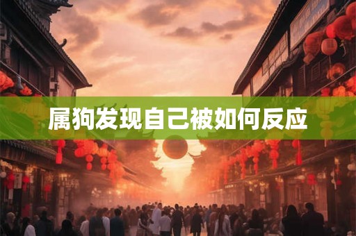 属狗发现自己被如何反应