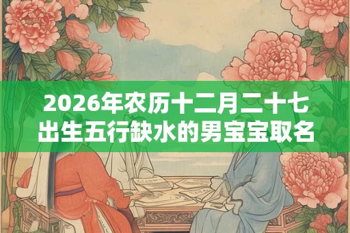 2026年农历十二月二十七出生五行缺水的男宝宝取名字