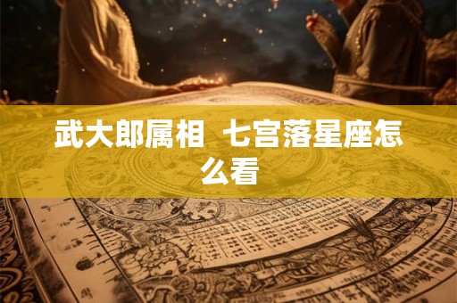 武大郎属相  七宫落星座怎么看