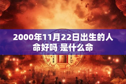 2000年11月22日出生的人命好吗 是什么命