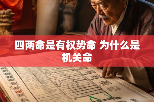 四两命是有权势命 为什么是机关命