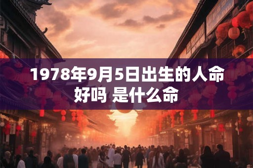 1978年9月5日出生的人命好吗 是什么命