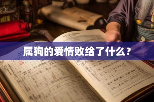 属狗的爱情败给了什么？