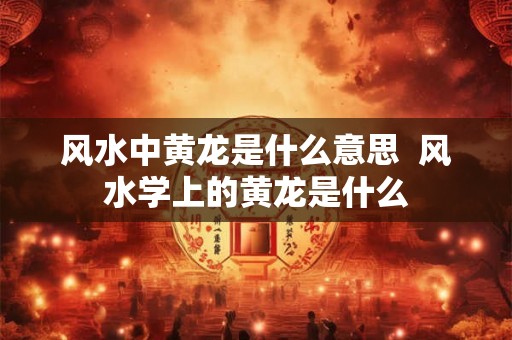 风水中黄龙是什么意思  风水学上的黄龙是什么