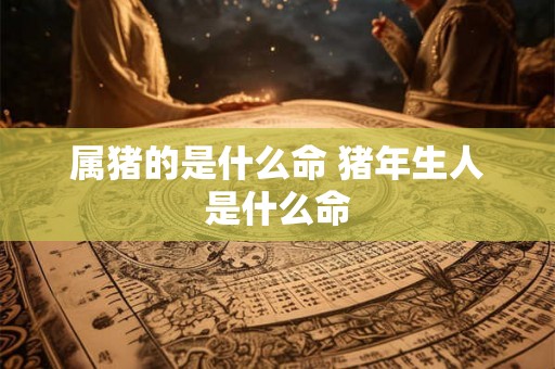 属猪的是什么命 猪年生人是什么命