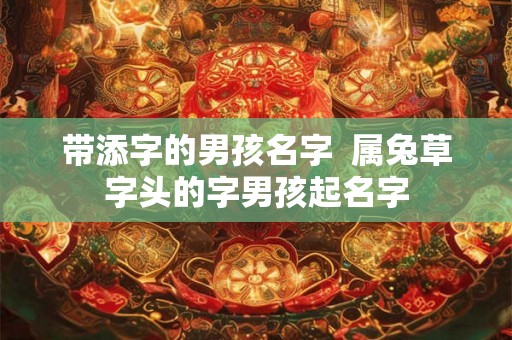 带添字的男孩名字  属兔草字头的字男孩起名字