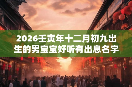 2026壬寅年十二月初九出生的男宝宝好听有出息名字
