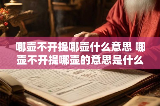 哪壶不开提哪壶什么意思 哪壶不开提哪壶的意思是什么