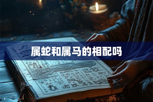 属蛇和属马的相配吗