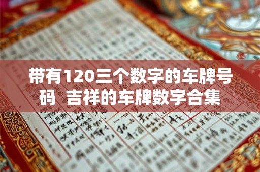 带有120三个数字的车牌号码  吉祥的车牌数字合集