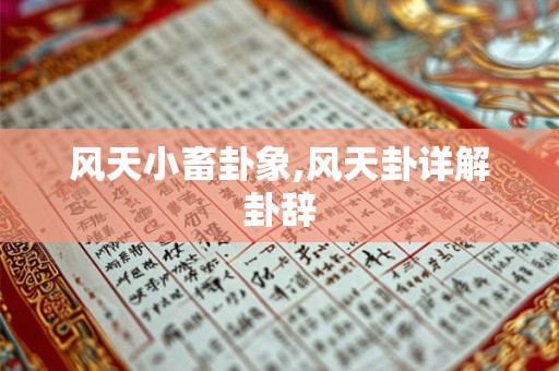风天小畜卦象,风天卦详解卦辞