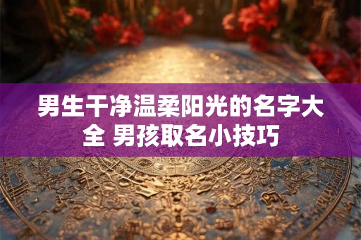 男生干净温柔阳光的名字大全 男孩取名小技巧