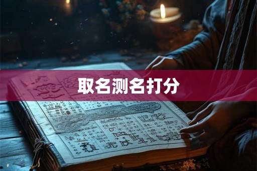取名测名打分 取名测名打分