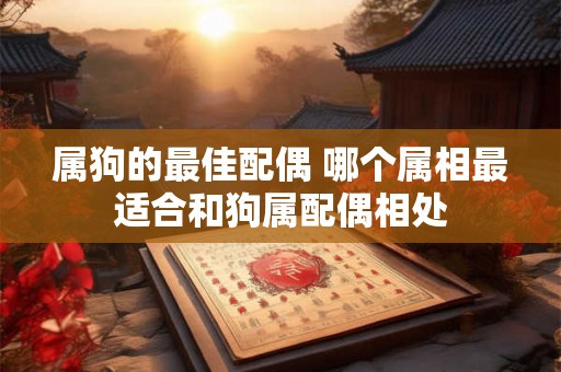 属狗的最佳配偶 哪个属相最适合和狗属配偶相处