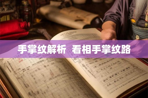 手掌纹解析  看相手掌纹路