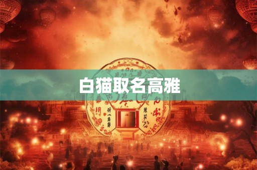 白猫取名高雅 白猫取名高雅