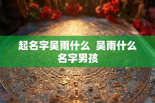 起名字吴雨什么  吴雨什么名字男孩