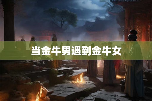 当金牛男遇到金牛女