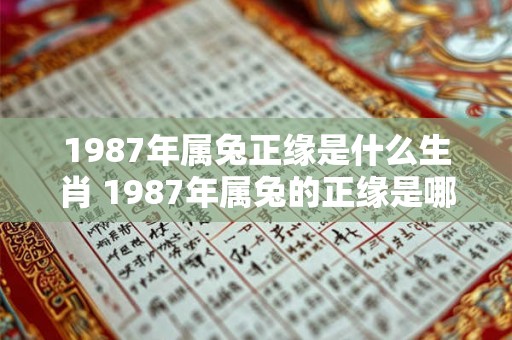 1987年属兔正缘是什么生肖 1987年属兔的正缘是哪生肖