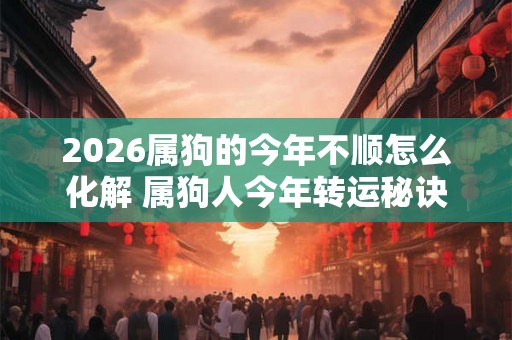 2026属狗的今年不顺怎么化解 属狗人今年转运秘诀