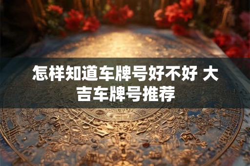怎样知道车牌号好不好 大吉车牌号推荐