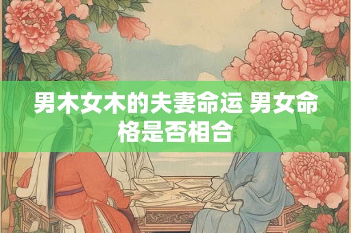 男木女木的夫妻命运 男女命格是否相合 男木女木的夫妻命运 男女命格是否相合
