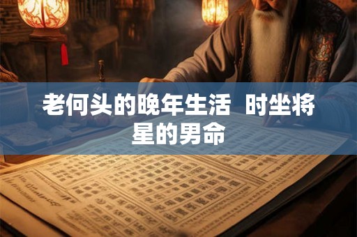 老何头的晚年生活  时坐将星的男命