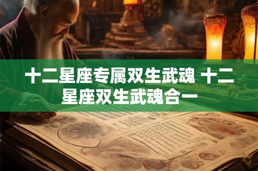 十二星座专属双生武魂 十二星座双生武魂合一